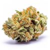 AMNESIA HAZE