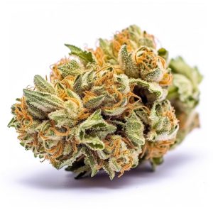 AMNESIA HAZE